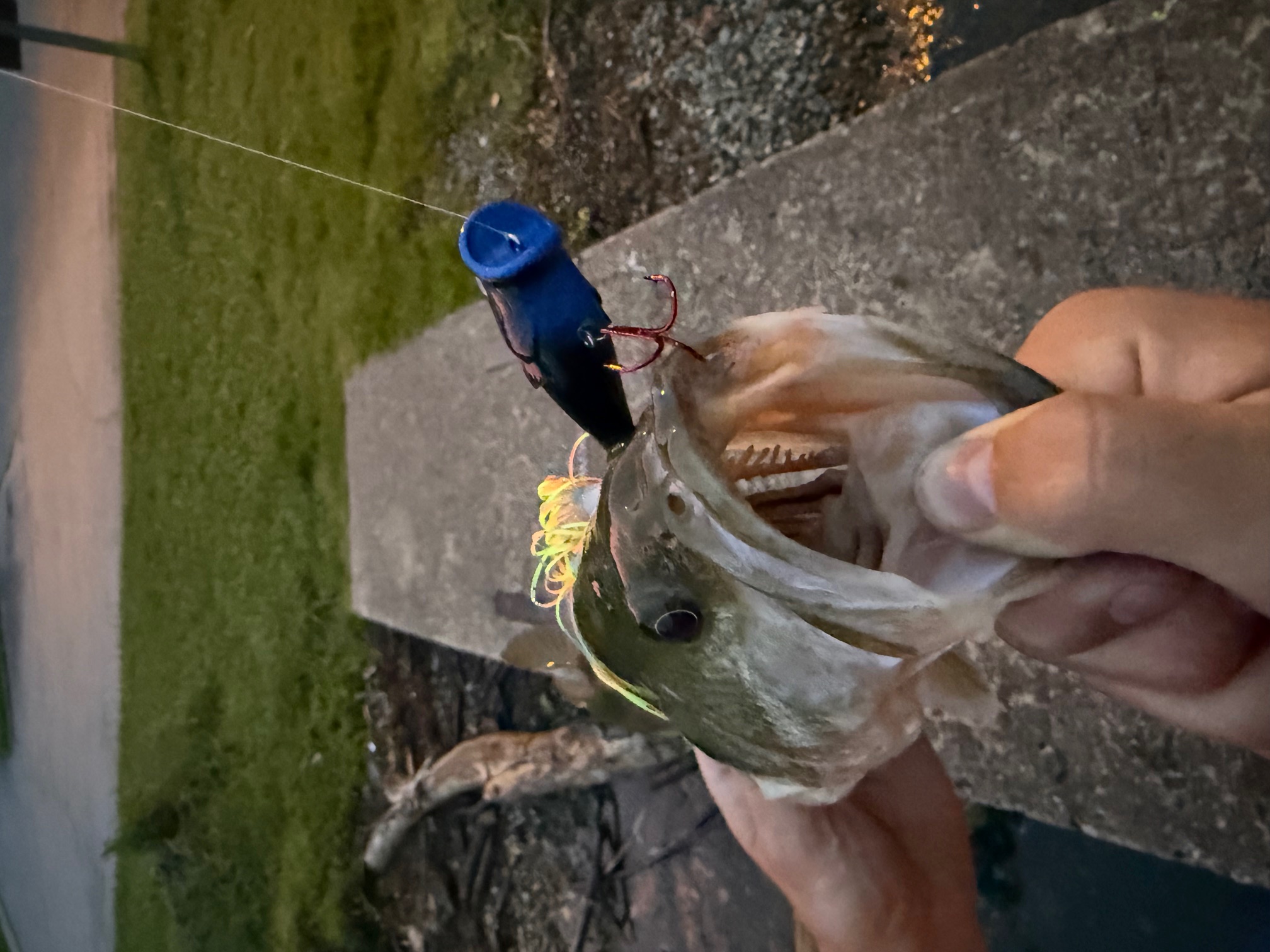 Feather Pop — Black